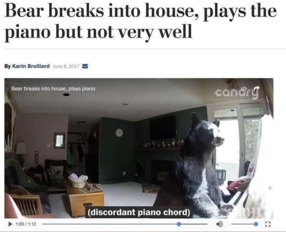 Bear breaks into house plays the piano but not very well Oy KarnBrtors Pr