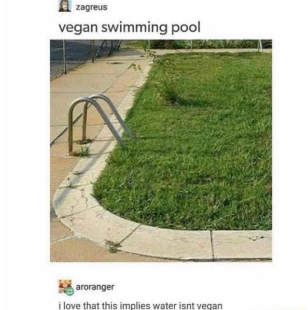 A zagreus vegan swimming pool 4 aroranger ilove that this imolies water isnt veaan