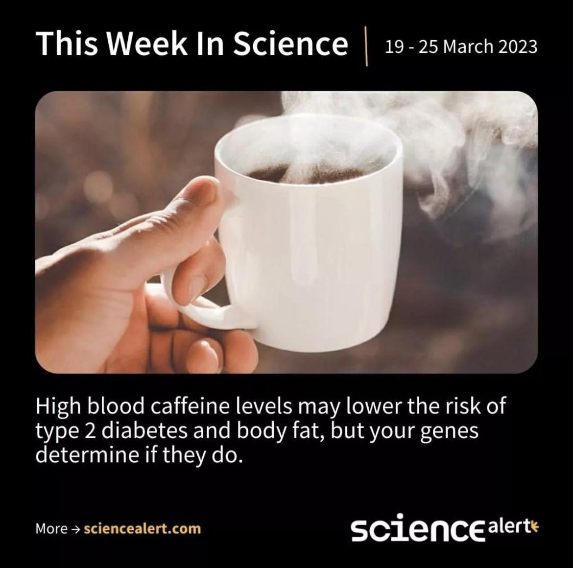 This Week In Science 19 25march2023 3 High blood caffeine levels may lower the risk of type 2 diabetes and body fat but your genes determine if they do More sciencealertcom sciencealert