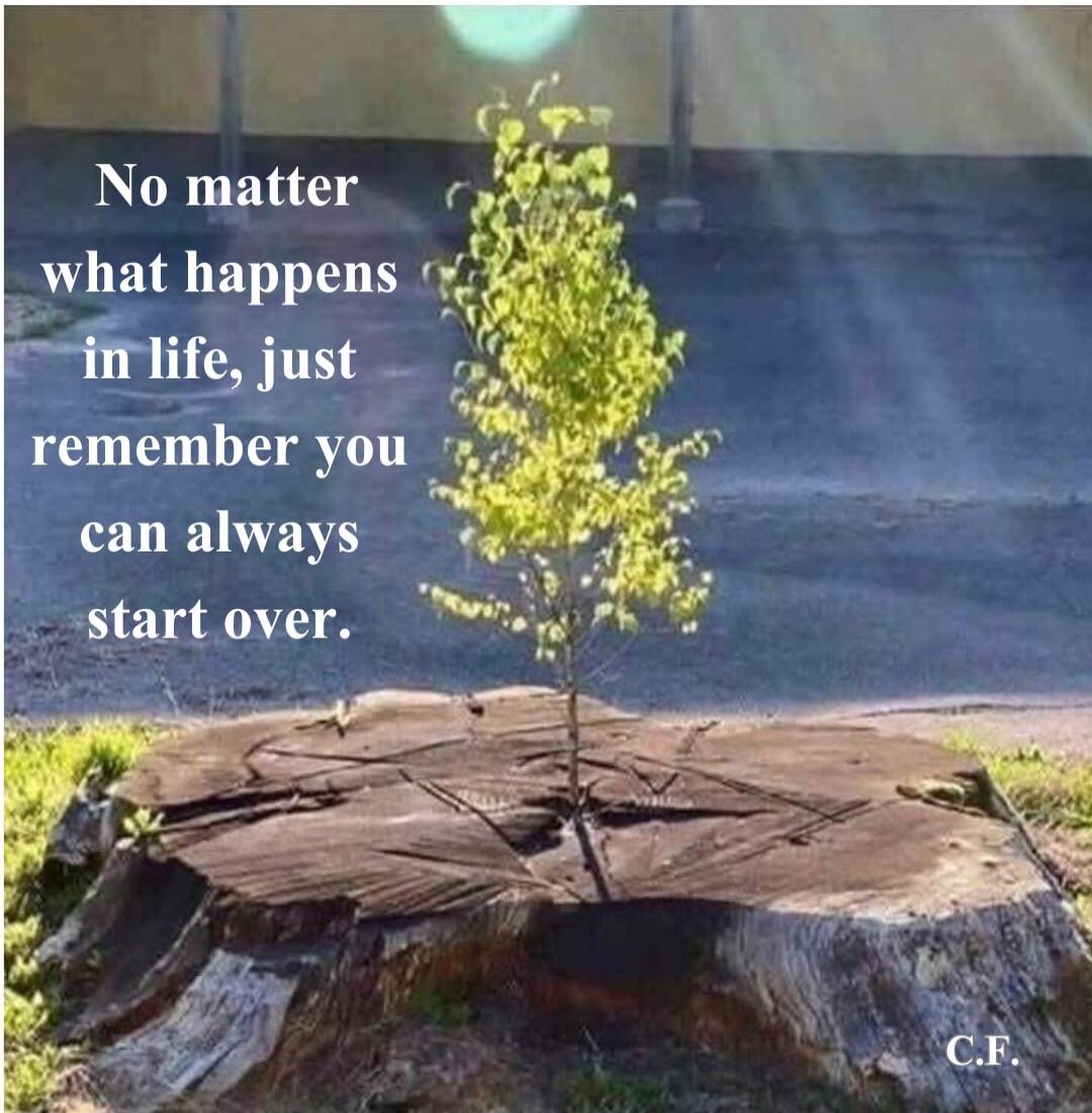 No matter what happens in life, just remember you can always start over. C.F.
