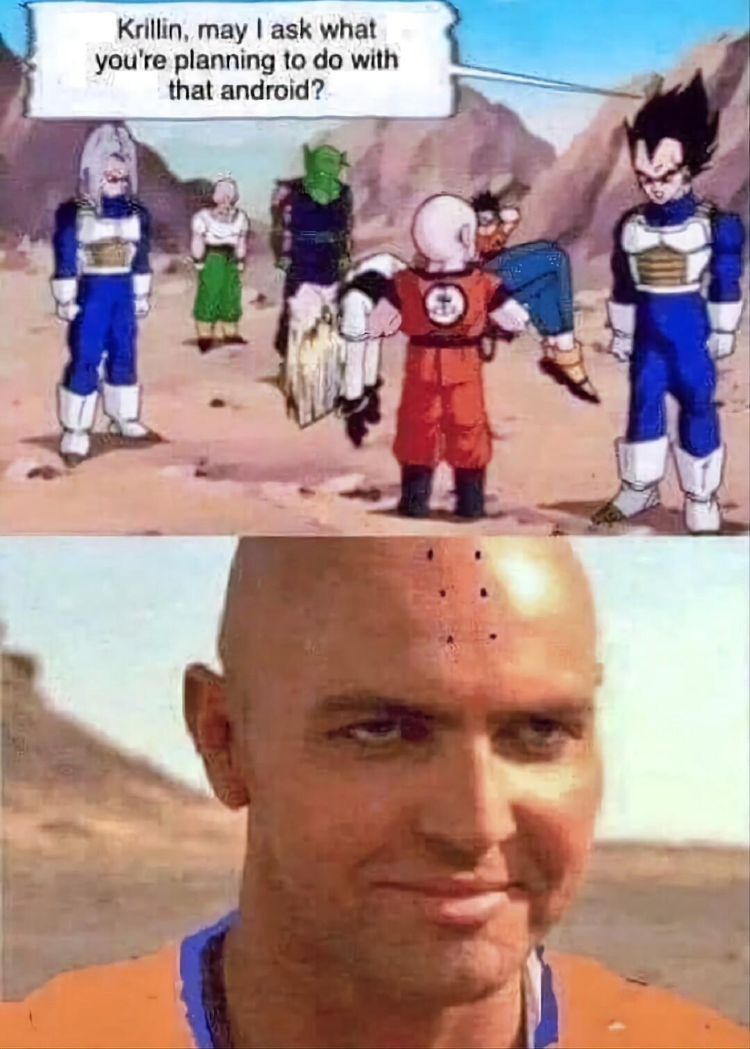 Krillin may ask what youre planning to do with that android