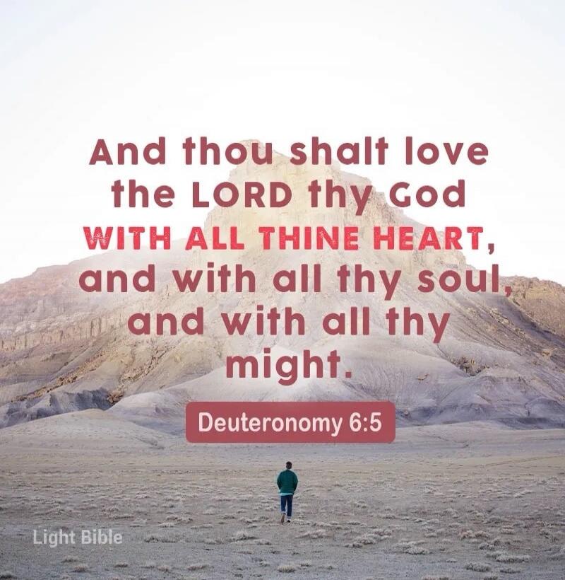 And thou shalt love the LORD thy God WITH ALL THINE HEART, and with all thy soul, and with all thy might. Deuteronomy 6:5 Light Bible