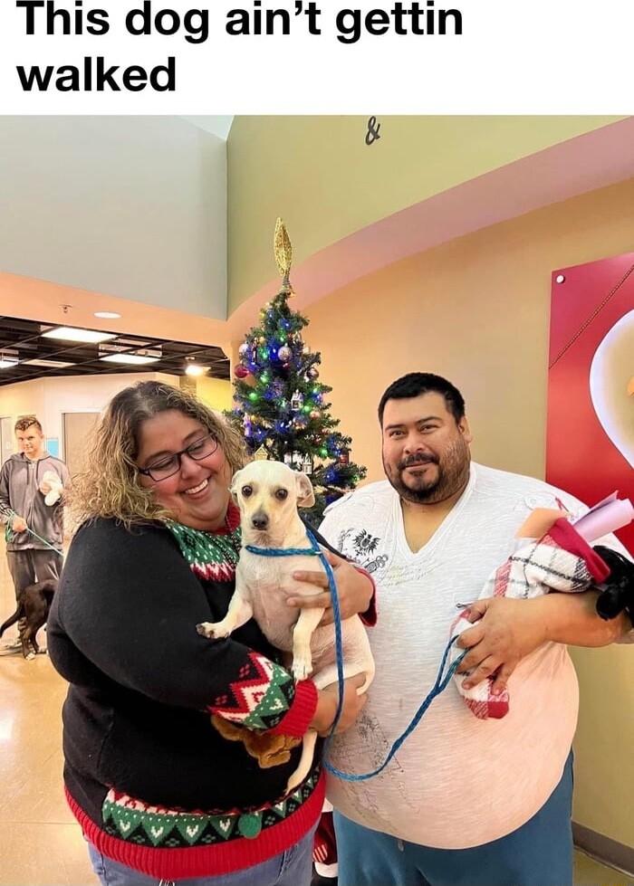 This dog aint gettin walked