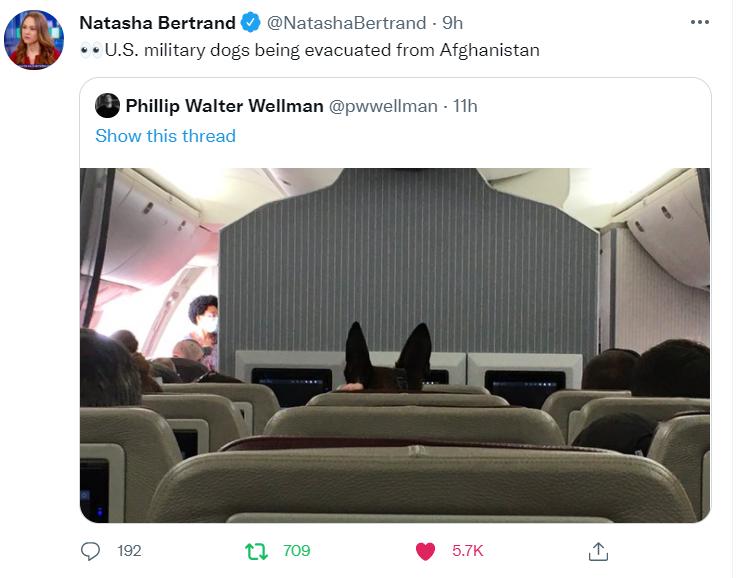 Natasha Bertrand NatashaBertrand 9h US military dogs being evacuated from Afghanistan Phillip Walter Wellman pwwellman 11h Show this thread Q 192 n 79 57K