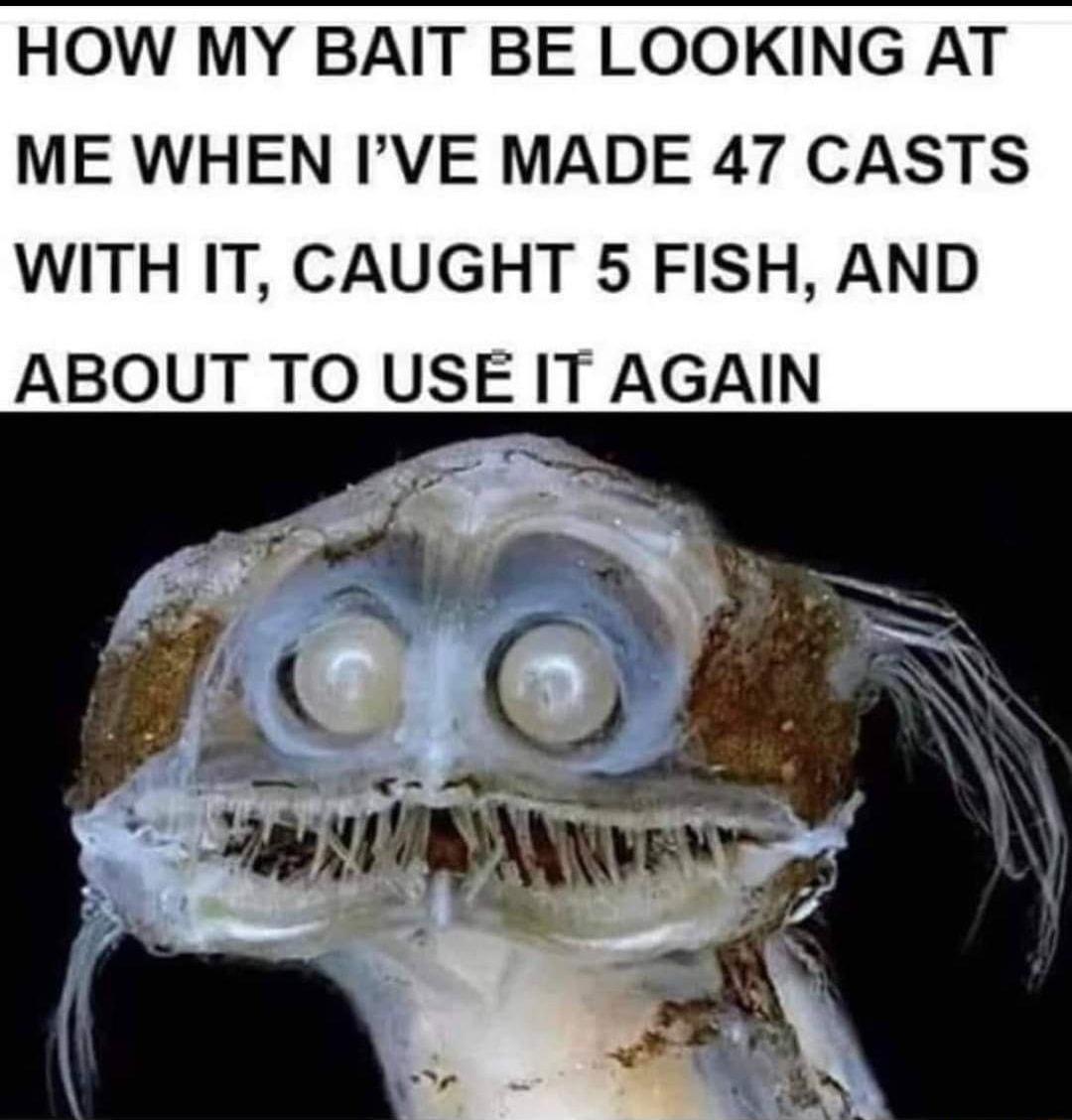 HOW MY BAIT BE LOOKING AT ME WHEN IVE MADE 47 CASTS WITH IT CAUGHT 5 FISH AND ABOUT TO USE IT AGAIN o
