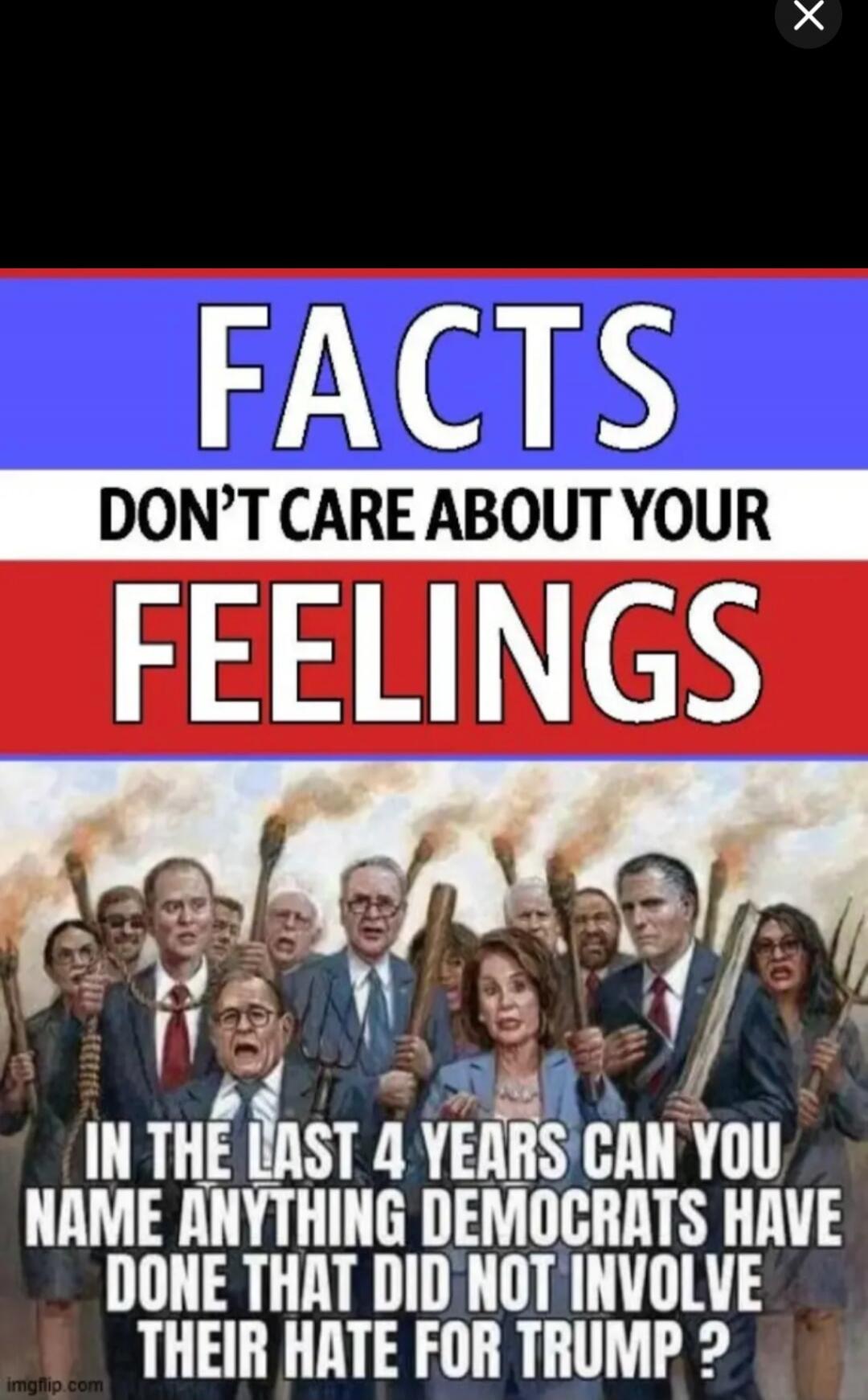FACTS DON'T CARE ABOUT YOUR FEELINGS
IN THE LAST 4 YEARS CAN YOU NAME ANYTHING DEMOCRATS HAVE DONE THAT DID NOT INVOLVE THEIR HATE FOR TRUMP?