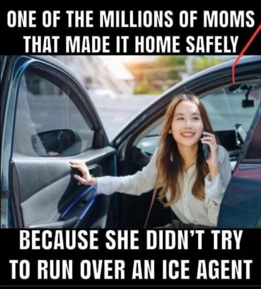 ONE OF THE MILLIONS OF MOMS THAT MADE IT HOME SAFELY BECAUSE SHE DIDN'T TRY TO RUN OVER AN ICE AGENT