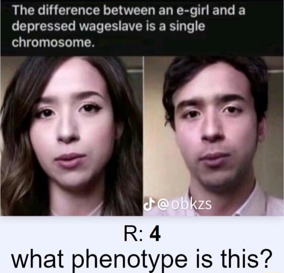 The difference between an e girl and a depressed wageslave is a single chromosome R 4 what phenotype is this