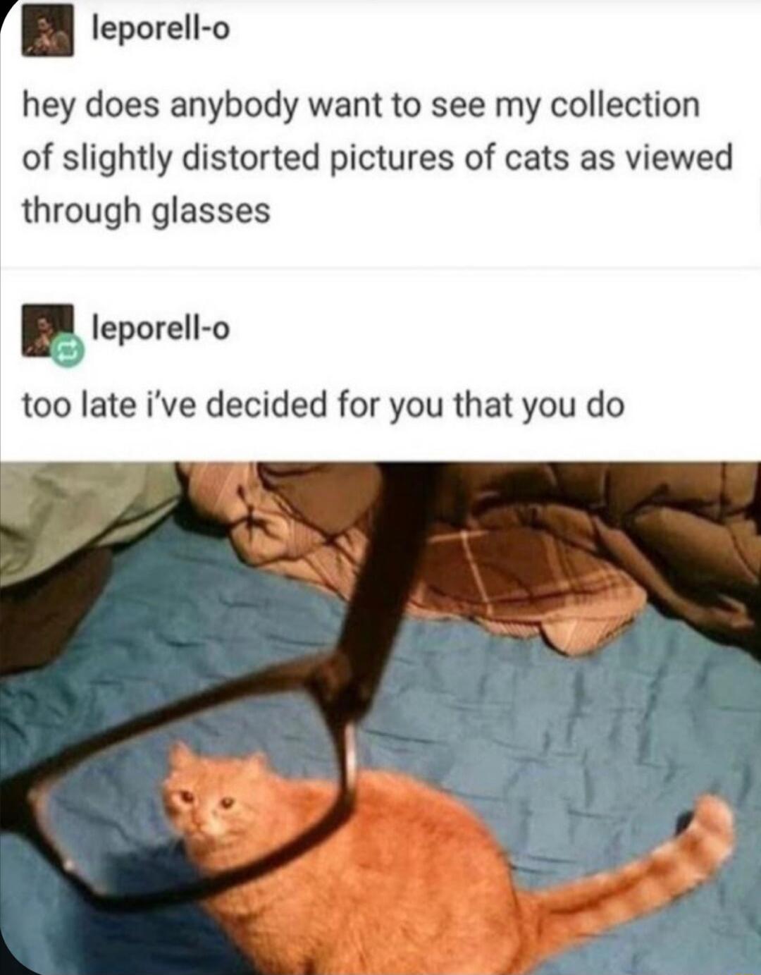 leporell o hey does anybody want to see my collection of slightly distorted pictures of cats as viewed through glasses leporell o B too late ive decided for you that you do 3