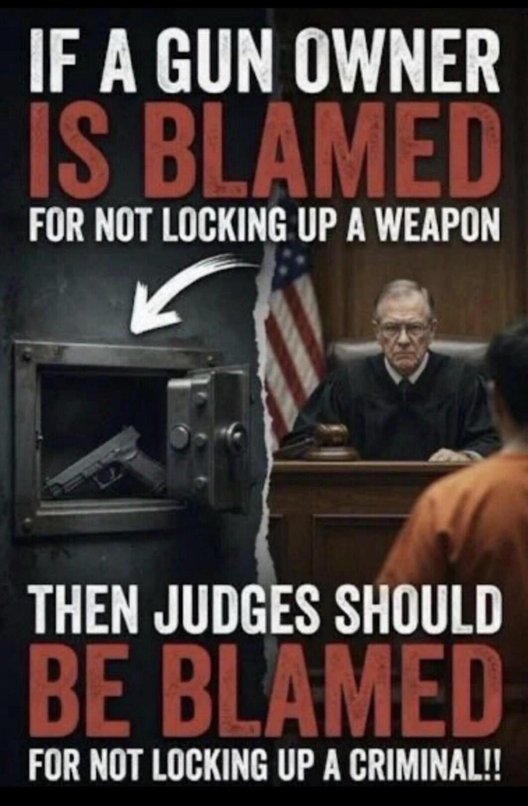 IF A GUN OWNER IS BLAMED FOR NOT LOCKING UP A WEAPON THEN JUDGES SHOULD BE BLAMED FOR NOT LOCKING UP A CRIMINAL!!