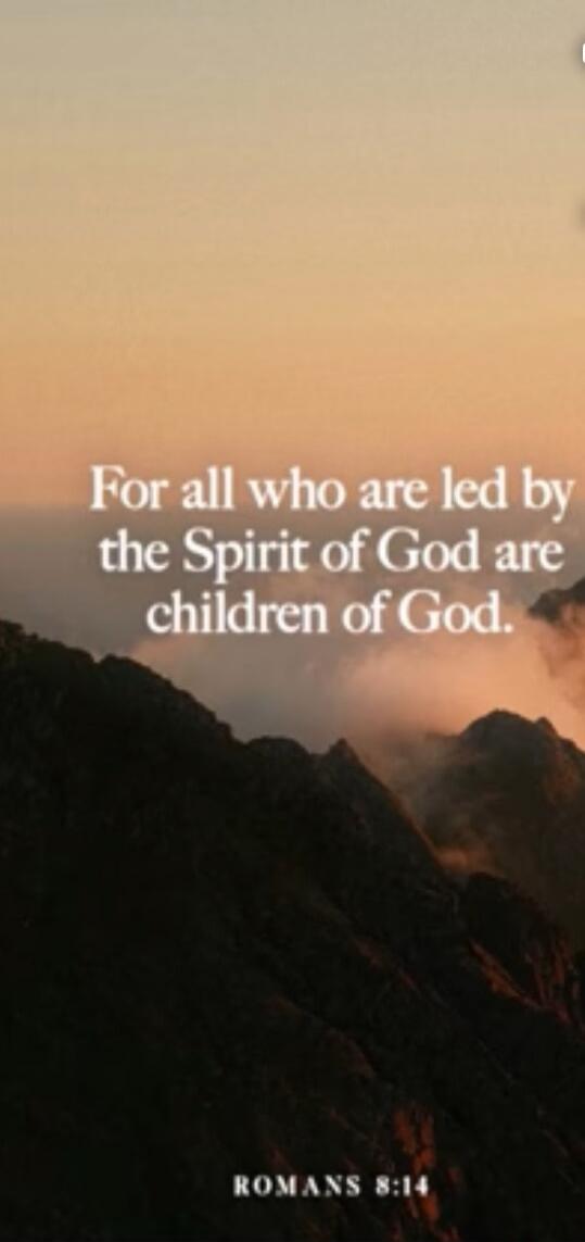 For all who are led by the Spirit of God are children of God.
ROMANS 8:14