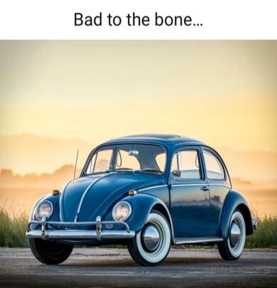 Bad to the bone...