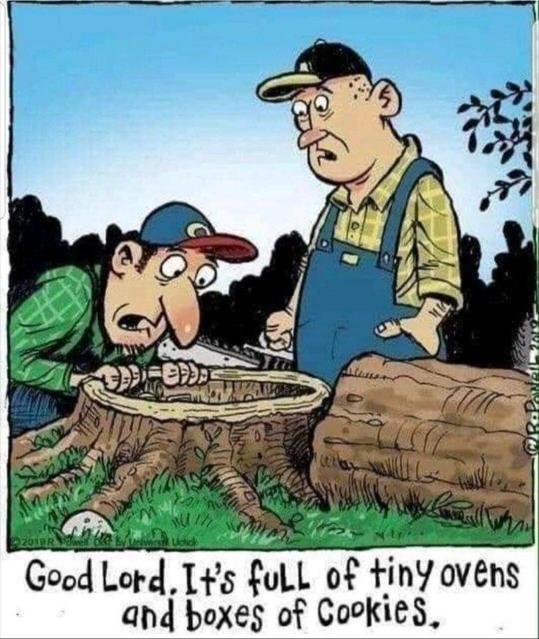 Good Lord, It's full of tiny ovens and boxes of cookies.