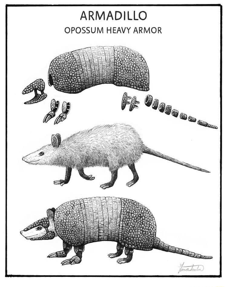 ARMADILLO OPOSSUM HEAVY ARMOR