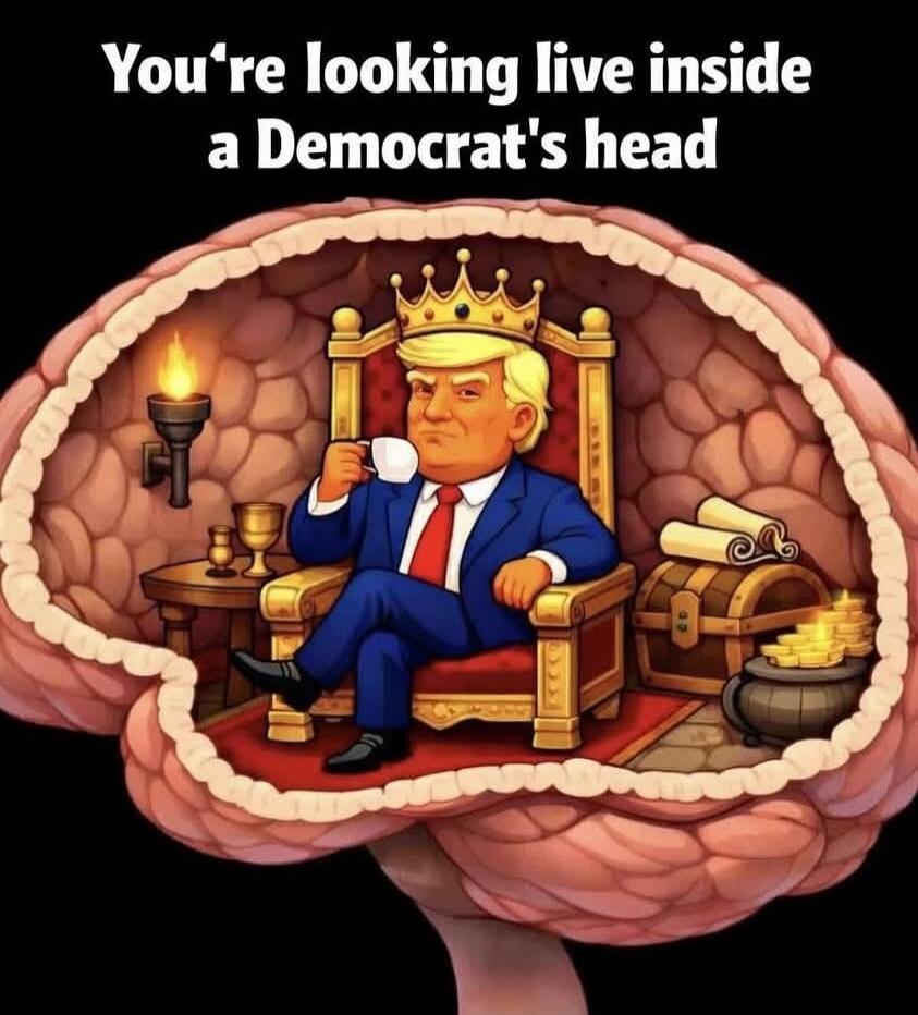 You're looking live inside a Democrat's head