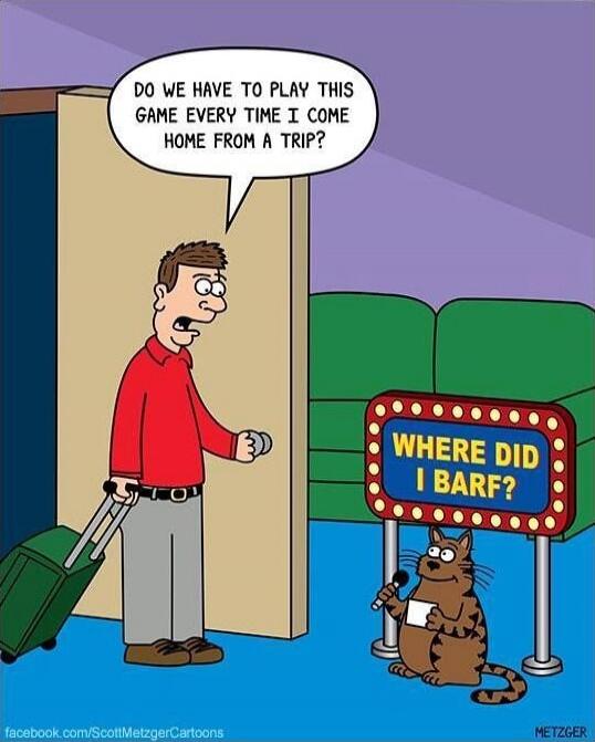 Do we have to play this game every time I come home from a trip?
Where did I barf?