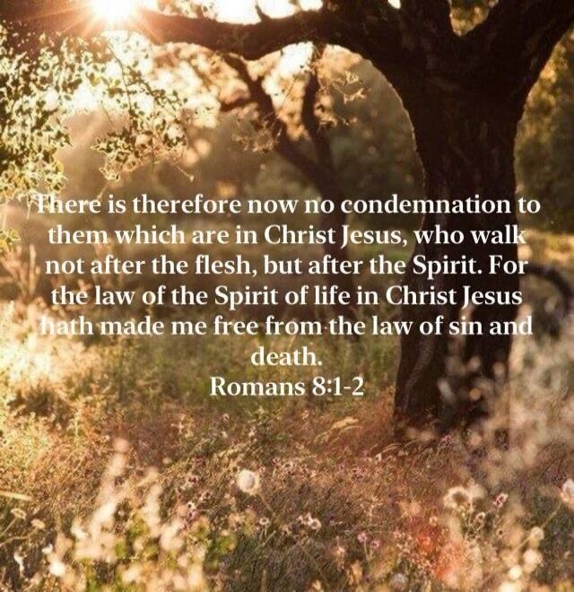 There is therefore now no condemnation to them which are in Christ Jesus, who walk not after the flesh, but after the Spirit. For the law of the Spirit of life in Christ Jesus hath made me free from the law of sin and death. Romans 8:1-2