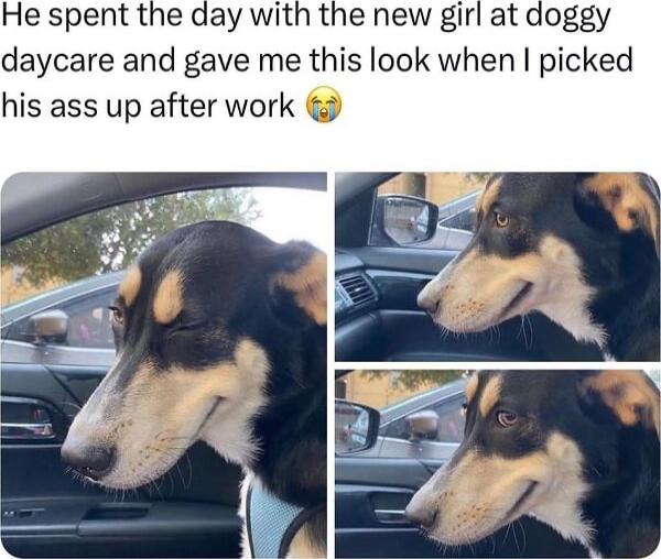 daycare and gave me this look when picked his ass up after work