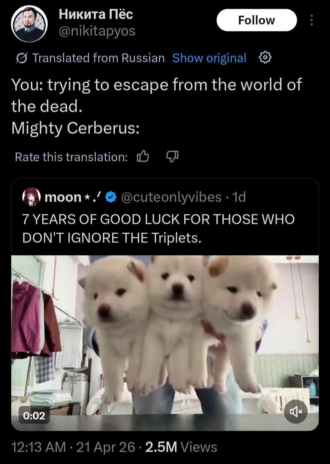 You: trying to escape from the world of the dead. Mighty Cerberus: 7 YEARS OF GOOD LUCK FOR THOSE WHO DON'T IGNORE THE Triplets.