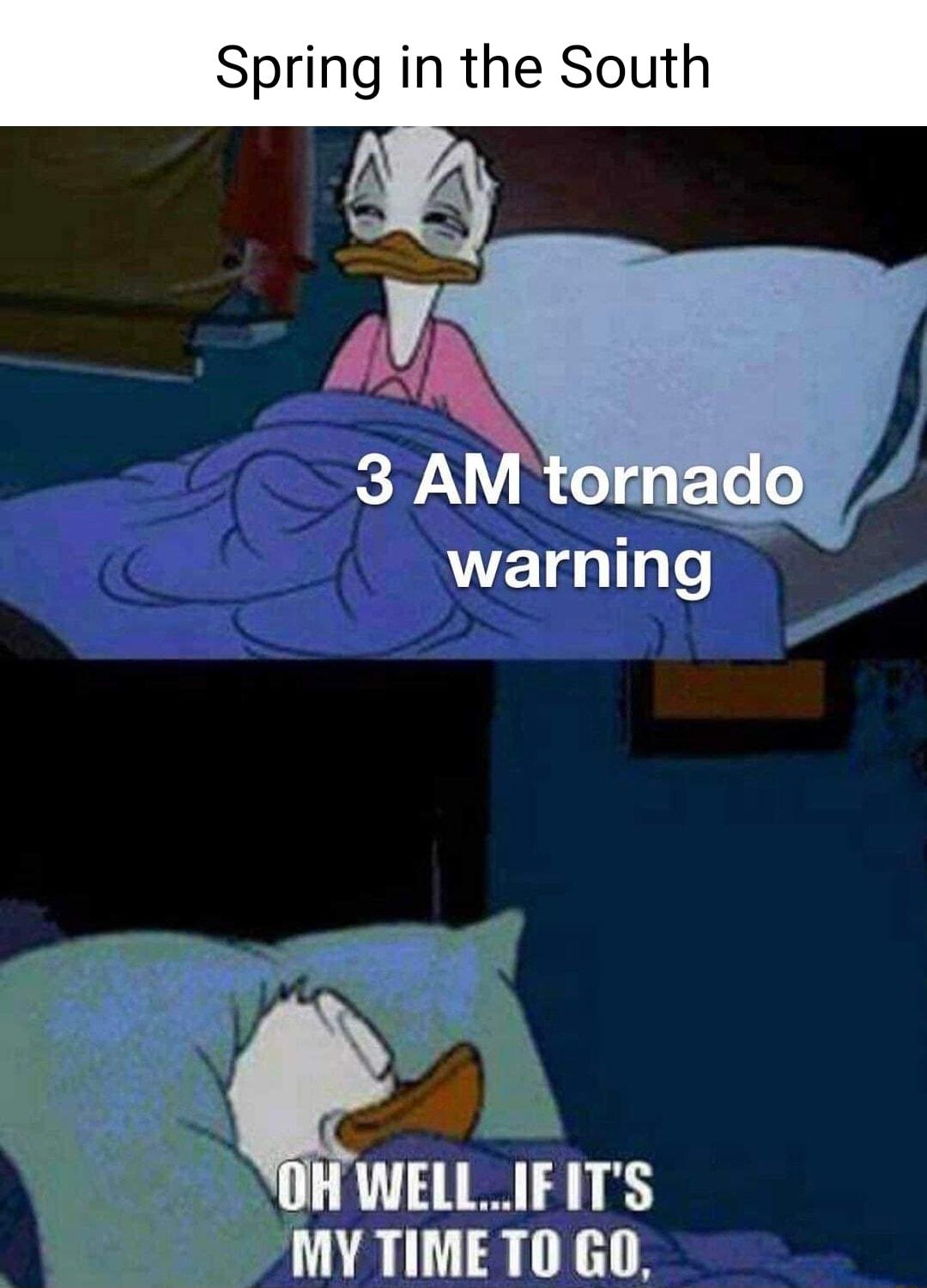 Spring in the South warning g WELLIFITS MYTIMETO GO