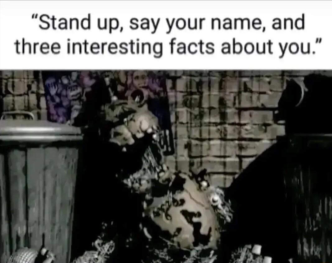 Stand up say your name a three interesting facts about yo