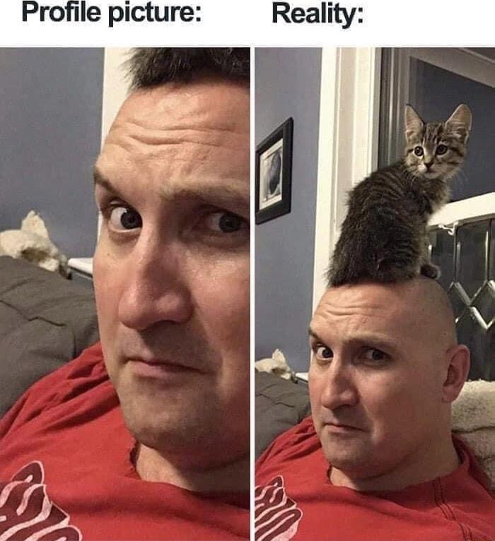 Profile picture Reality