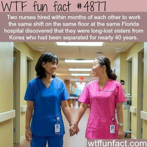 WTF fun fact 4871