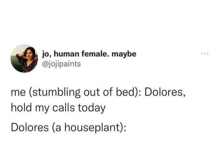 jo, human female. maybe @jojipaints me (stumbling out of bed): Dolores, hold my calls today Dolores (a houseplant):