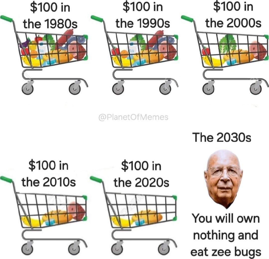 100 in 100in 100in the 1980s the 1990s the 2000s g The 2030s 100 in 100in the2010s the 2020s 11T J You will own nothing and eat zee bugs