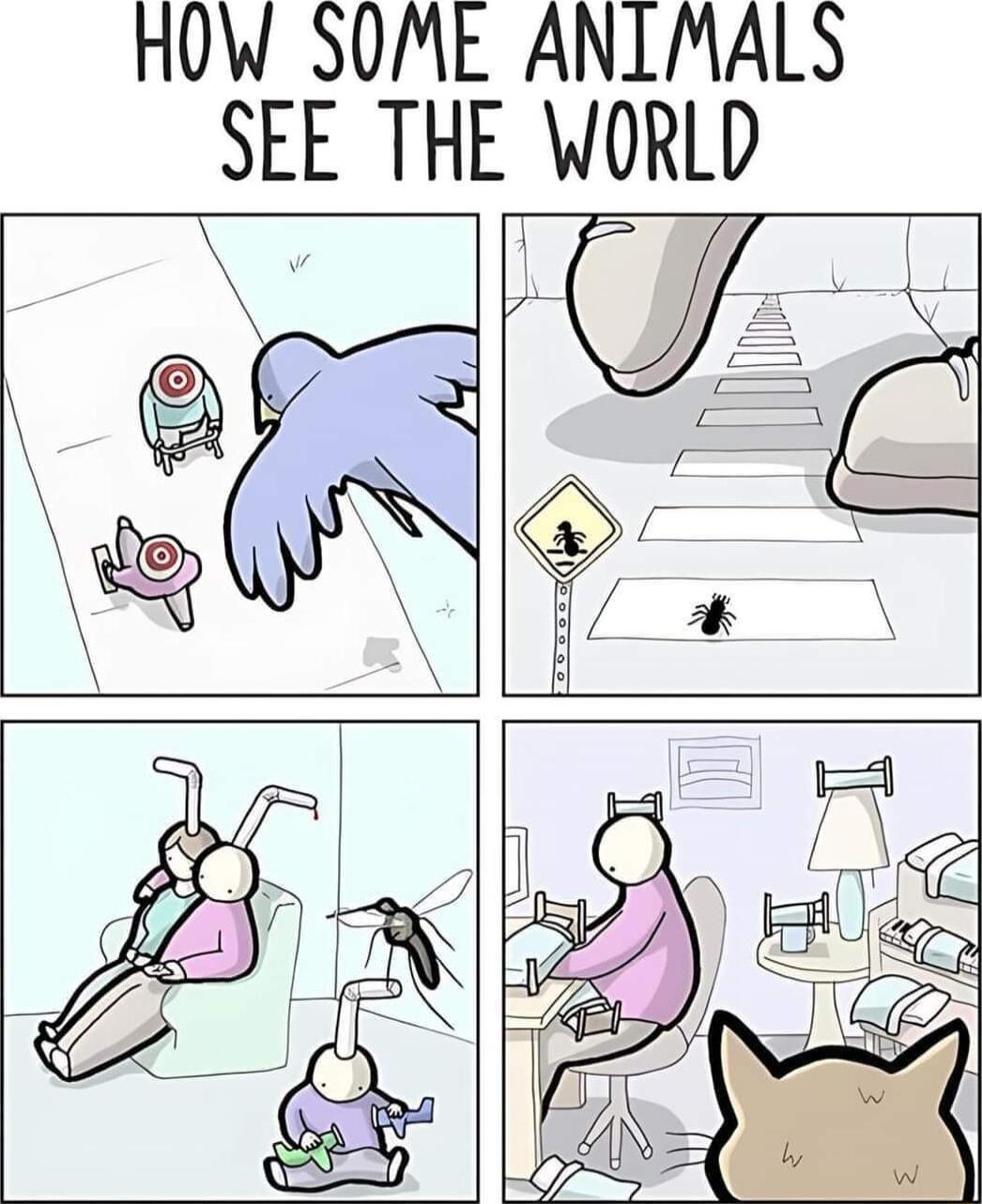 nOW SOME ANLMALS SEE THE WORLD