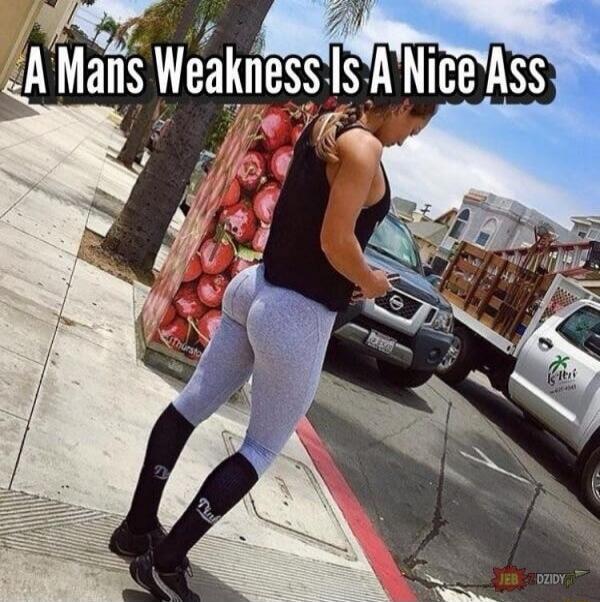 A Man's Weakness Is A Nice Ass