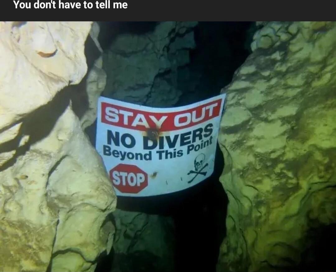 You dont have to tell me