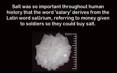 Salt was so important throughout human IS GIRGEIR QR IG RECE TG EIEER T R Y Latin word salarium referring to money given to soldiers so they could buy salt 15cm