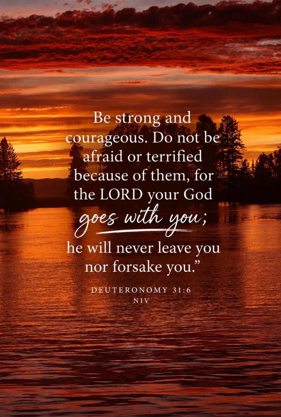 Be strong and courageous. Do not be afraid or terrified because of them, for the LORD your God goes with you; he will never leave you nor forsake you. DEUTERONOMY 31:6 NIV