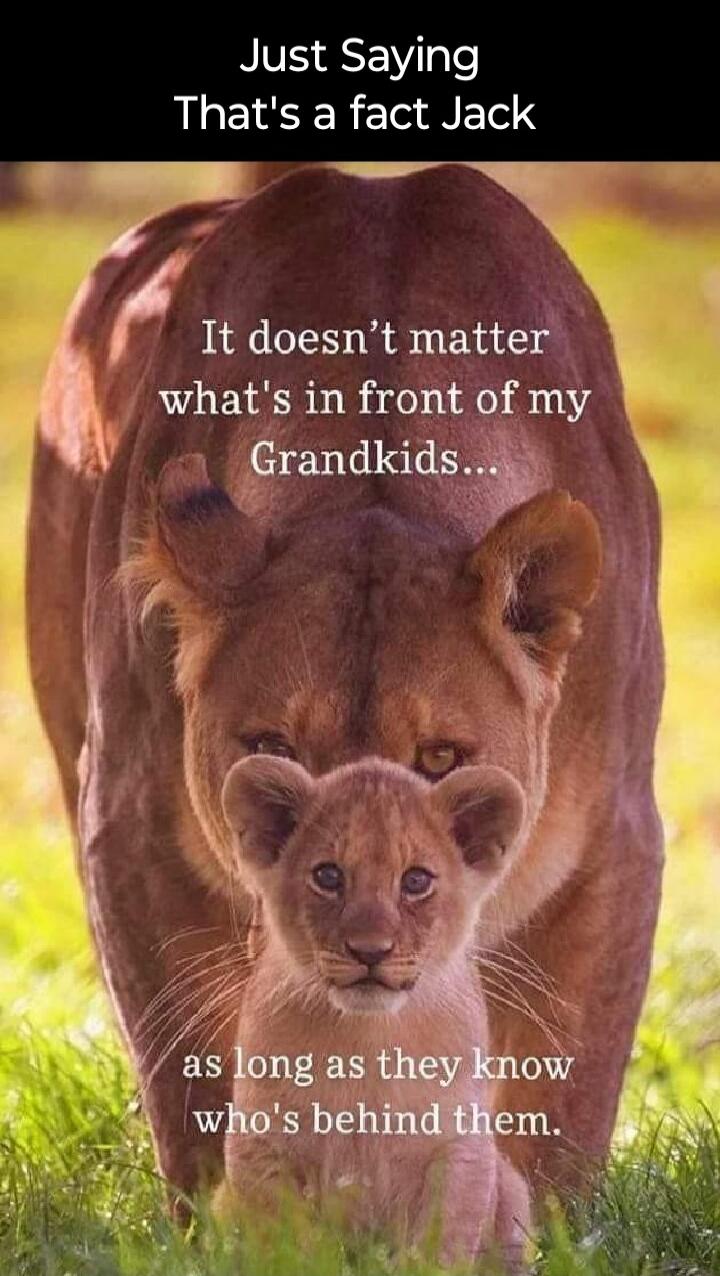 Just Saying That's a fact Jack It doesn't matter what's in front of my Grandkids... as long as they know who's behind them.