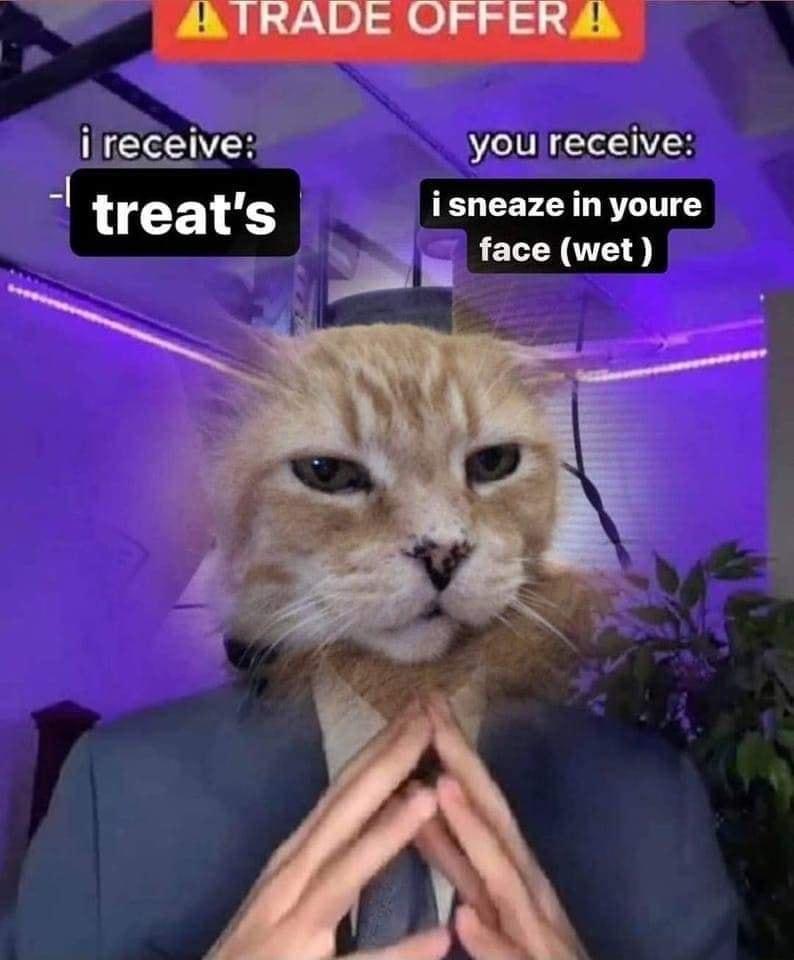 MAAIRADE OFFER A ireceive you receive treats SELCEFEYLRTLIT face wet