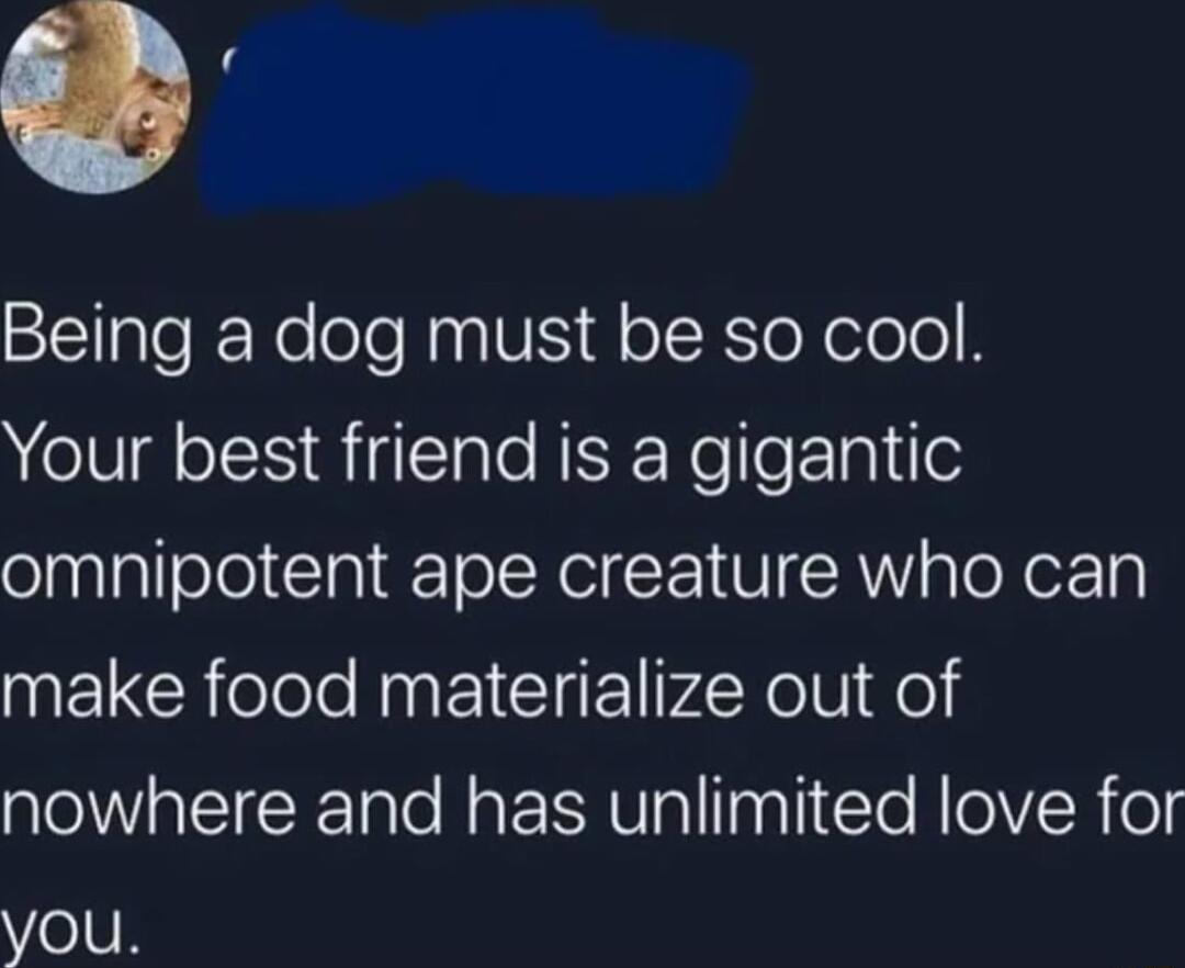 Sl ale Ko ole HnaVS dl oIKo X olole B Your best friend is a gigantic omnipotent ape creature who can make food materialize out of nowhere and has unlimited love for VoUR