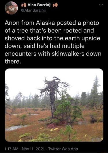 M 4 Alan Barzini 9 Anon from Alaska posted a photo ERCERGEIRREER RGO El T shoved back into the earth upside down said hes had multiple encounters with skinwalkers down LUCICH