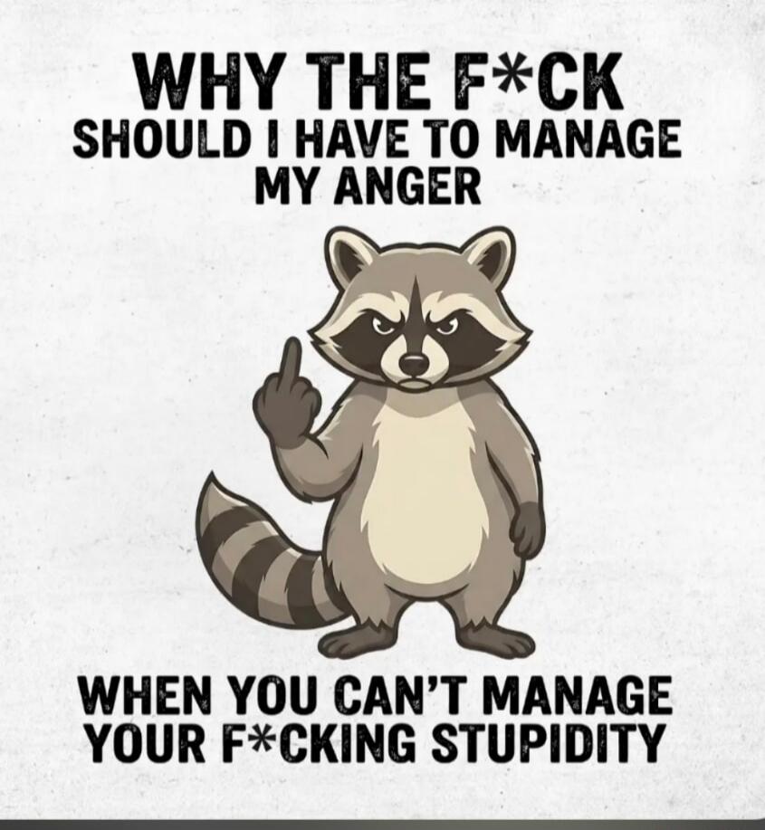 WHY THE F*CK SHOULD I HAVE TO MANAGE MY ANGER WHEN YOU CAN'T MANAGE YOUR F*CKING STUPIDITY