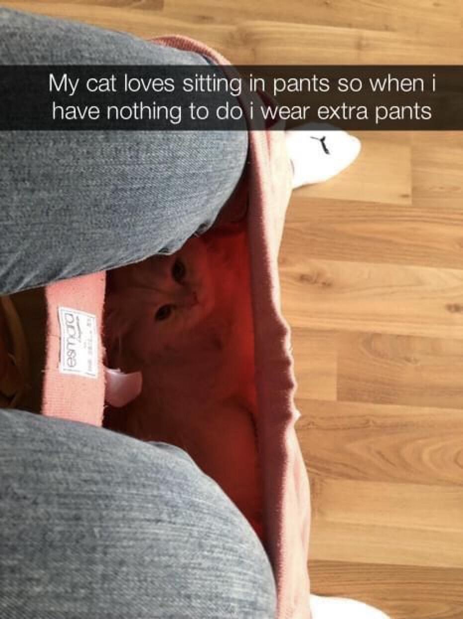 My cat loves sitting in pants so when i have nothing to do i wear extra pants