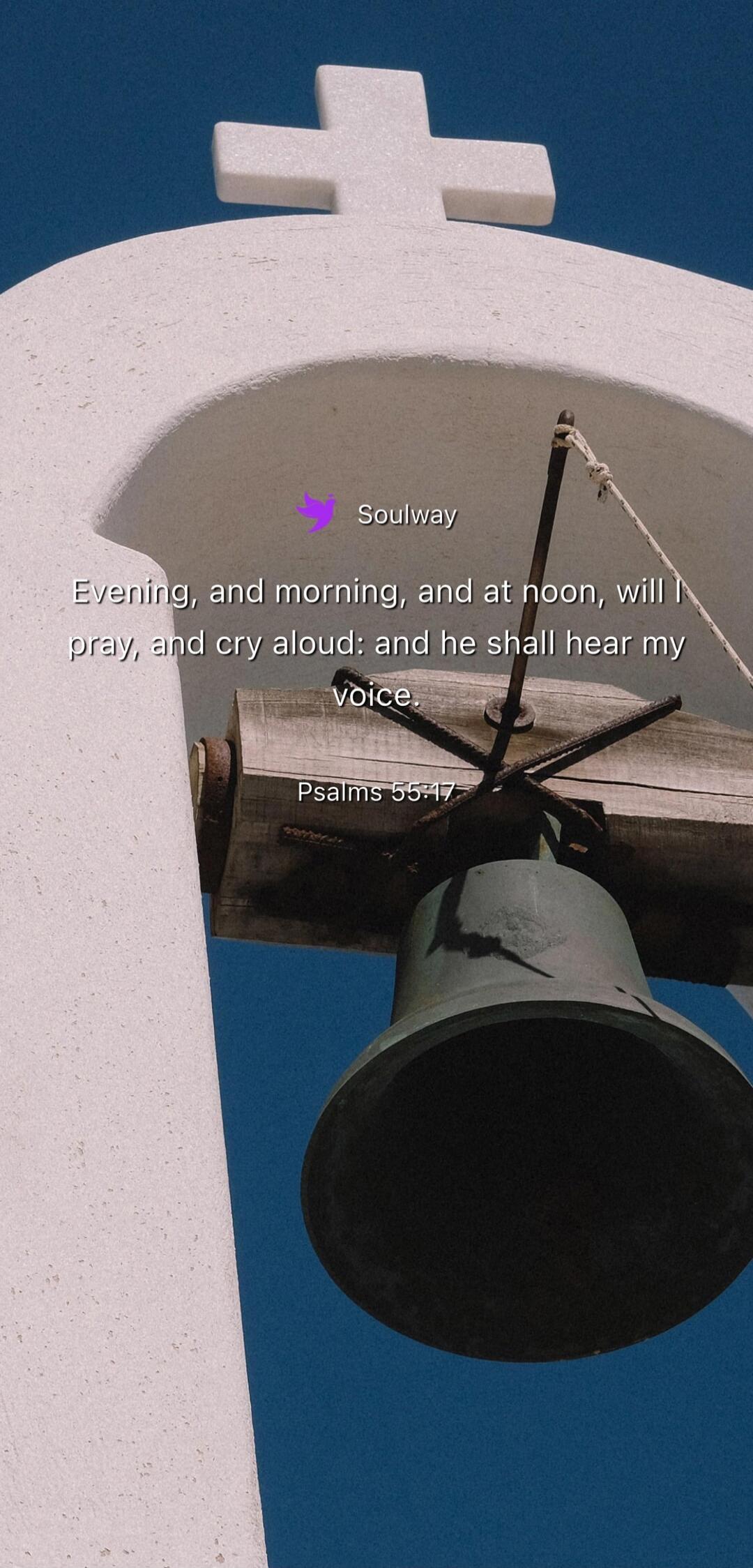 Evening, and morning, and at noon, will I pray, and cry aloud: and he shall hear my voice. Psalms 55:17