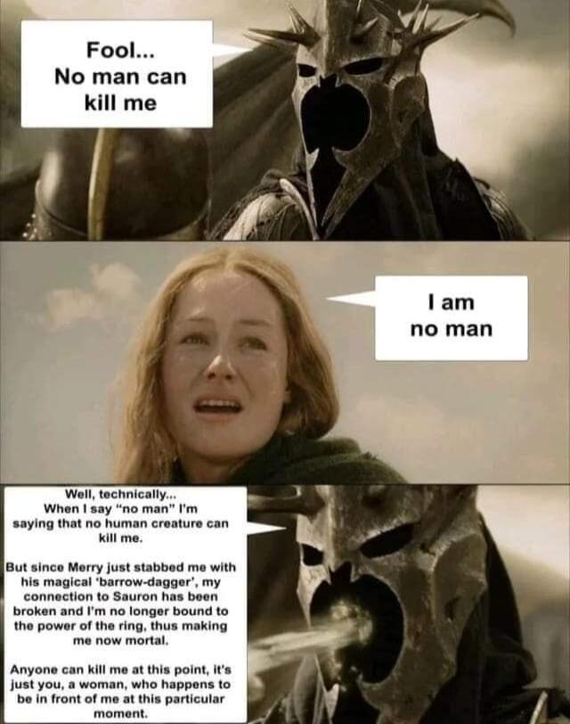 Fool No man can kill me arrow dagger my connection 1o Sauron has boen the powar of the ring thus making Anyone can kil me at this poin s ust you a woman who happens