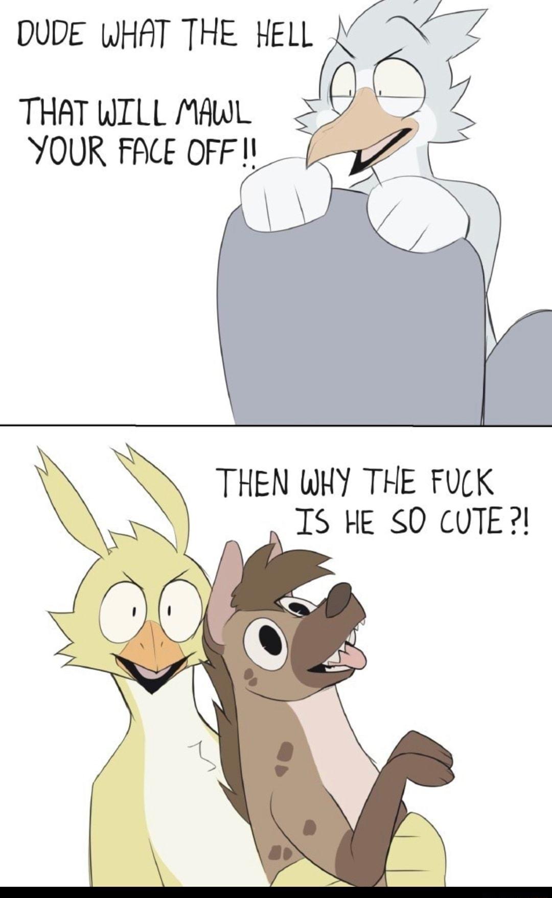 DUDE WHAT THE HELL THAT WILL MAWL CE OFF I YOUR FACE OFF THEN WHY THE FUCK IS HE SO CUTE