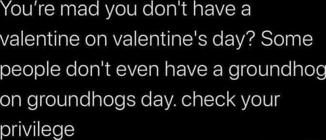AOIVRRppt ToRVelUNe oaR W atVCR valentine on valentines day Some olclelolNolelaRCVTA R VISR Ne o U ple ploTe on groundhogs day check your privilege