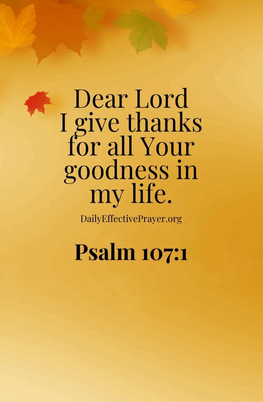 Dear Lord I give thanks for all Your goodness in my life. DailyEffectivePrayer.org Psalm 107:1