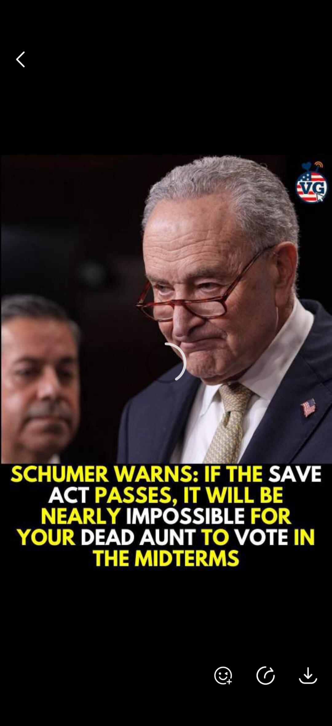 SCHUMER WARNS: IF THE SAVE ACT PASSES, IT WILL BE NEARLY IMPOSSIBLE FOR YOUR DEAD AUNT TO VOTE IN THE MIDTERMS