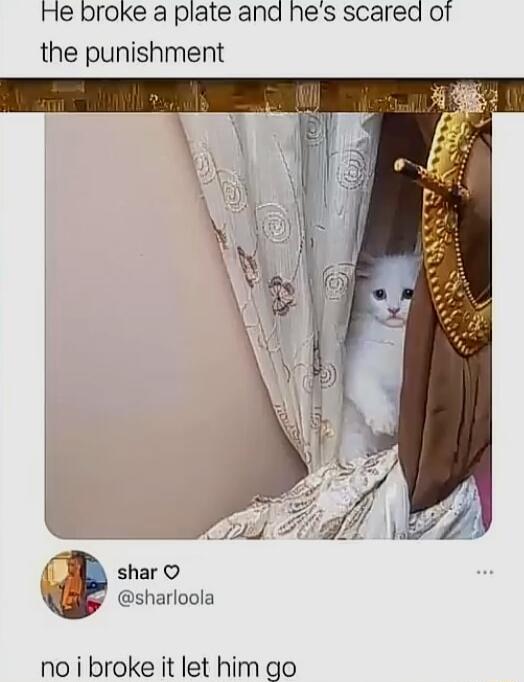 He broke a plate and hes scared ot the punishment shar O sharloola no i broke it let him go