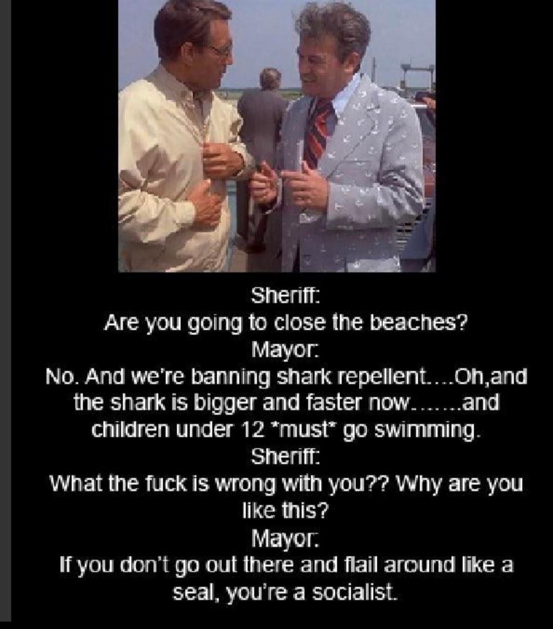 Are you going to close the beaches Mayor No And were banning shark repellentOhand the shark is bigger and faster now and children under 12 must go swimming Sheriff What the fuck is wrong with you Why are you like this Mayor If you dont go out there and flail around like a seal youre a socialist