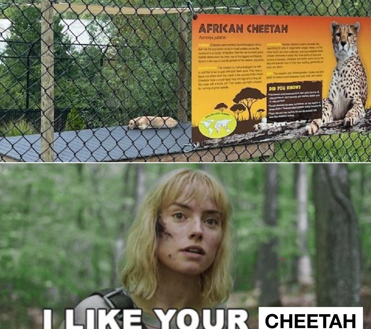 X X ATESOTAYS A m m _evo 113 cheeTan