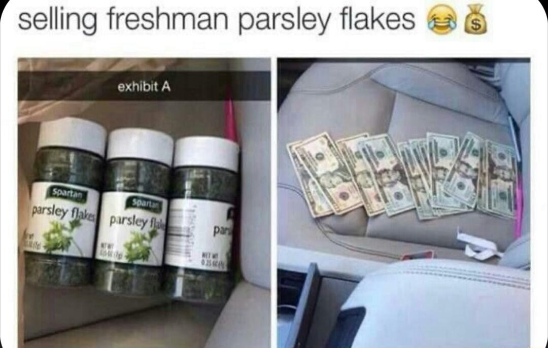 selling freshman parsley flakes